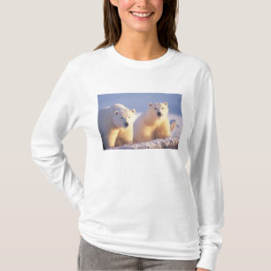 Isbjörnsmoder med unge på packis tee shirt