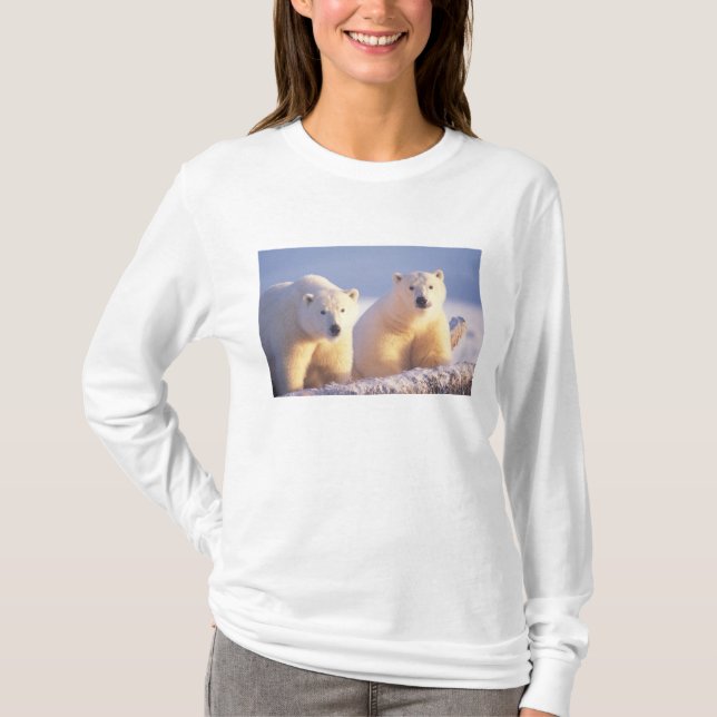 Isbjörnsmoder med unge på packis tee shirt (Framsida)