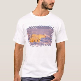 Isbjörnssuggan med vårkullar på den frusna tee shirt