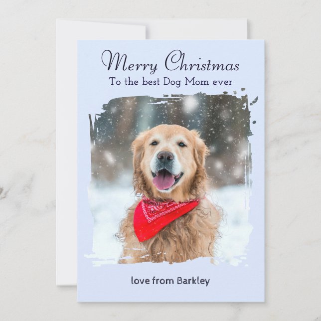 Isblå Vinter Hundmamma Anpassad Husdjursfoto Jul Julkort (Framsida)