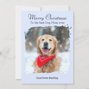 Isblå Vinter Hundmamma Anpassad Husdjursfoto Jul Julkort