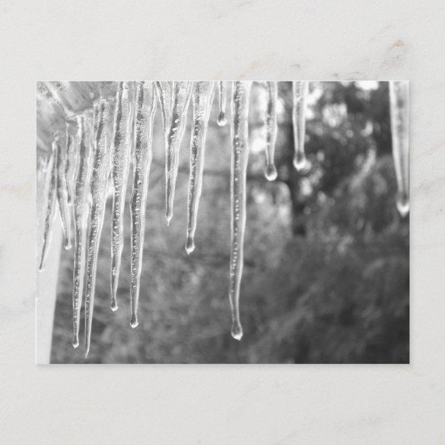 Iscykler Vykort (Framsida)