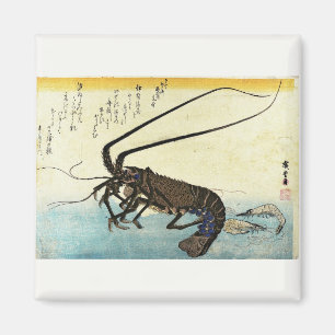 Iseebi & Ebi - Kräftor (Spiny Lobster) och räka Magnet