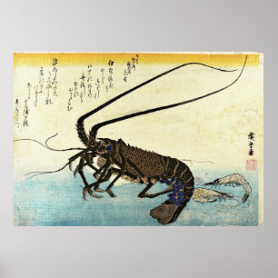 Iseebi & Ebi - Kräftor (Spiny Lobster) och räka Poster