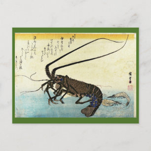 Iseebi & Ebi - Kräftor (Spiny Lobster) och räka Vykort