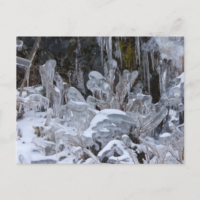 Isformationer, Unalaska Island Vykort (Framsida)