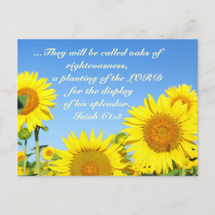 Isiah 61:3 Bible Verse Postcard Vykort