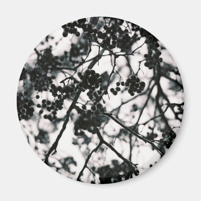 Isig Berries Magnet (Framsidan)