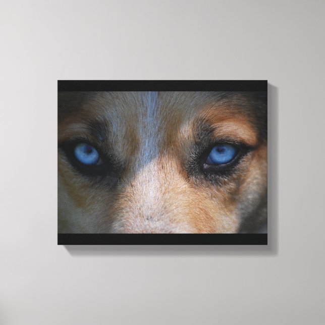Isig Blue Hund Öga Canvastryck (Framsida)