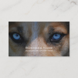 Isig Blue Hund Öga Visitkort