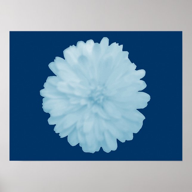 Isig Blue Marigold Poster (Framsidan)