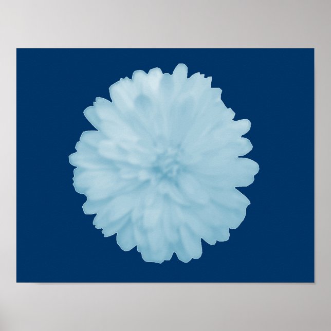 Isig Blue Marigold Poster (Framsidan)