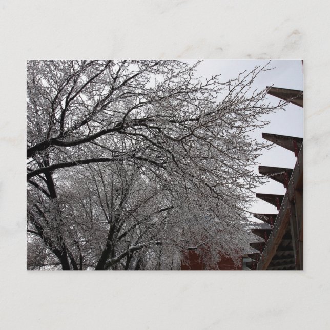 Isig Delmar-slinga Vykort (Framsida)