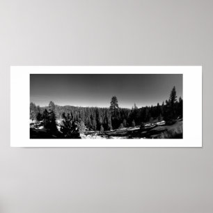 Isig Forest Panoramic Black and White Photography Poster