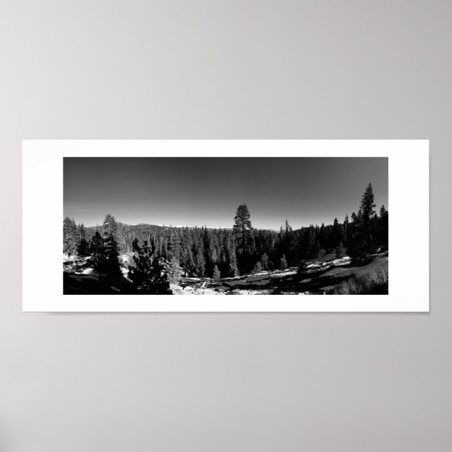 Isig Forest Panoramic Black and White Photography Poster (Framsidan)