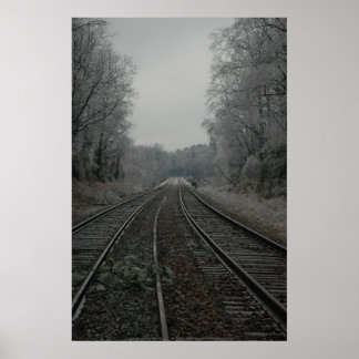 Isig genom korsning II Poster