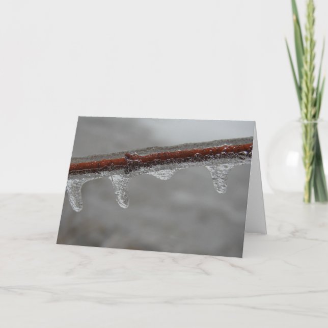 Isig Gren Kort (Framsida)