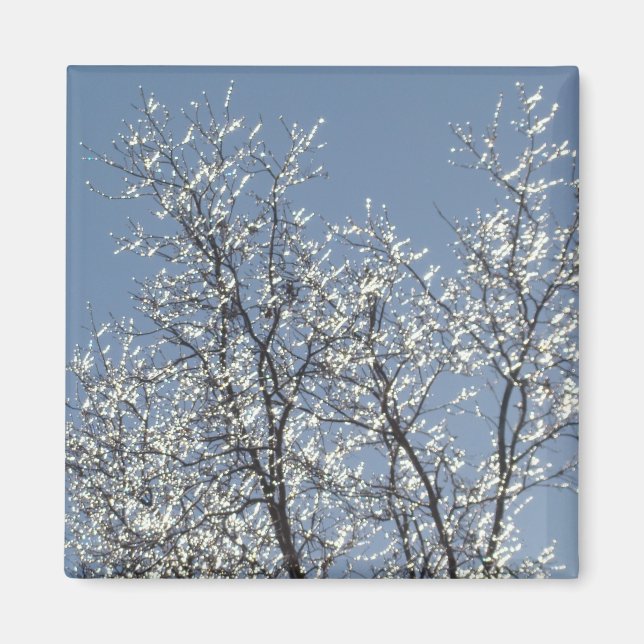 Isig Grenar i Winter Blå himmel Magnet (Framsidan)