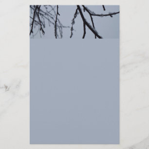 Isig Grenar Winter Nature Photography Brevpapper