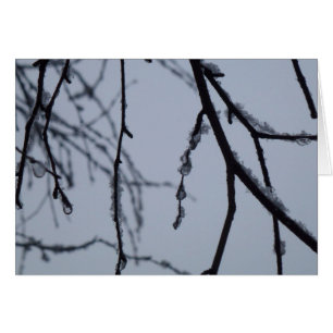 Isig Grenar Winter Nature Photography Hälsningskort