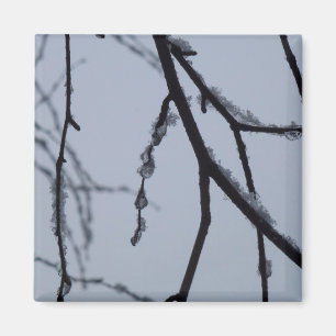 Isig Grenar Winter Nature Photography Magnet