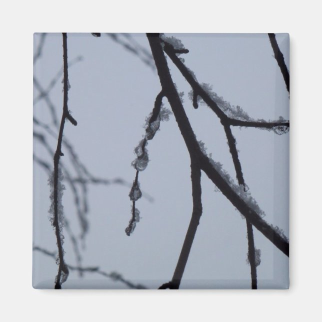 Isig Grenar Winter Nature Photography Magnet (Framsidan)