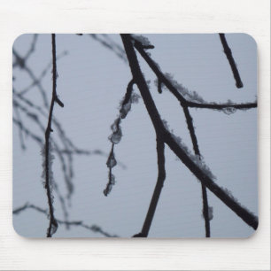 Isig Grenar Winter Nature Photography Musmatta