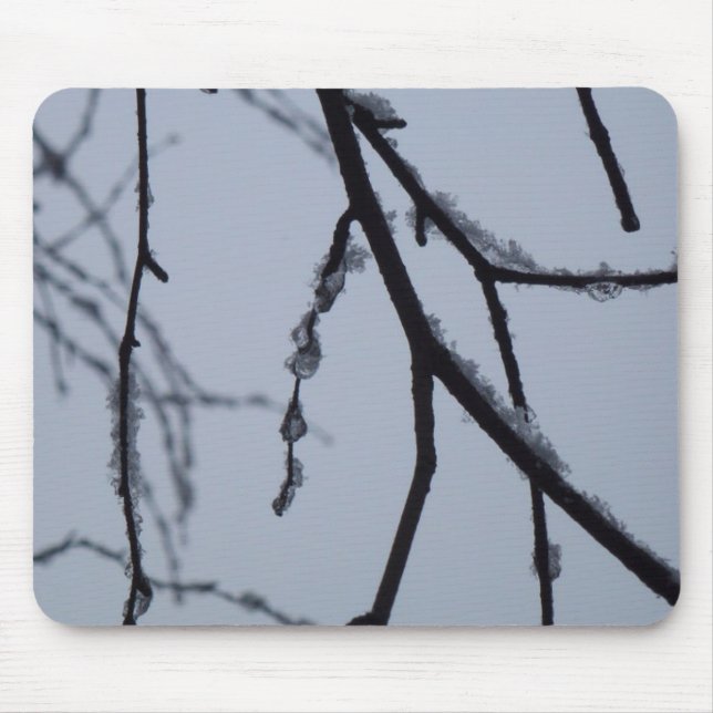 Isig Grenar Winter Nature Photography Musmatta (Framsidan)