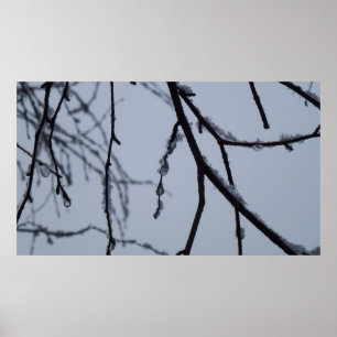 Isig Grenar Winter Nature Photography Poster