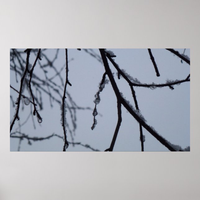 Isig Grenar Winter Nature Photography Poster (Framsidan)
