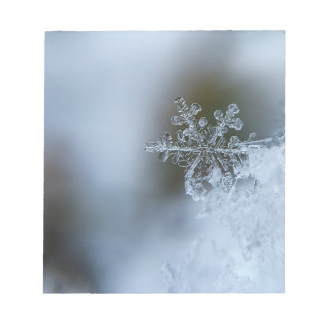 Isig Snowflake Anteckningsblock (Framsida)