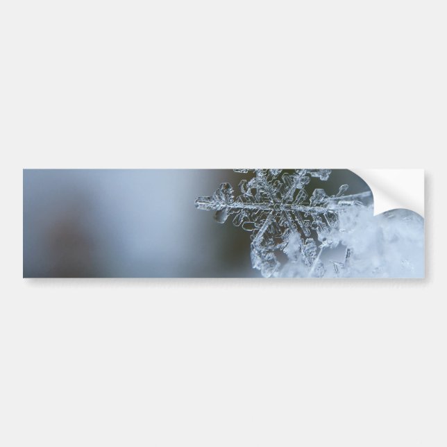 Isig Snowflake Bildekal (Framsidan)