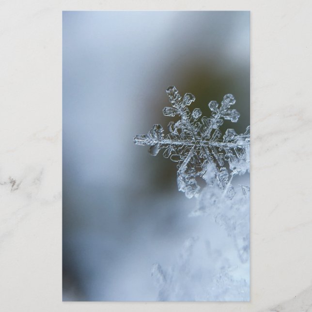 Isig Snowflake Brevpapper (Framsida)