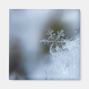 Isig Snowflake Magnet