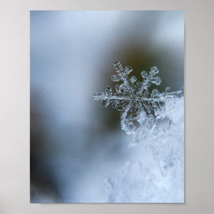 Isig Snowflake Poster