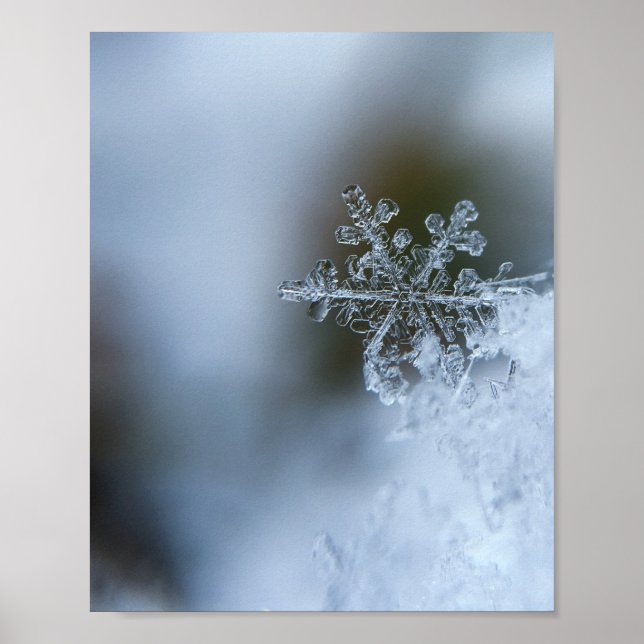 Isig Snowflake Poster (Framsidan)