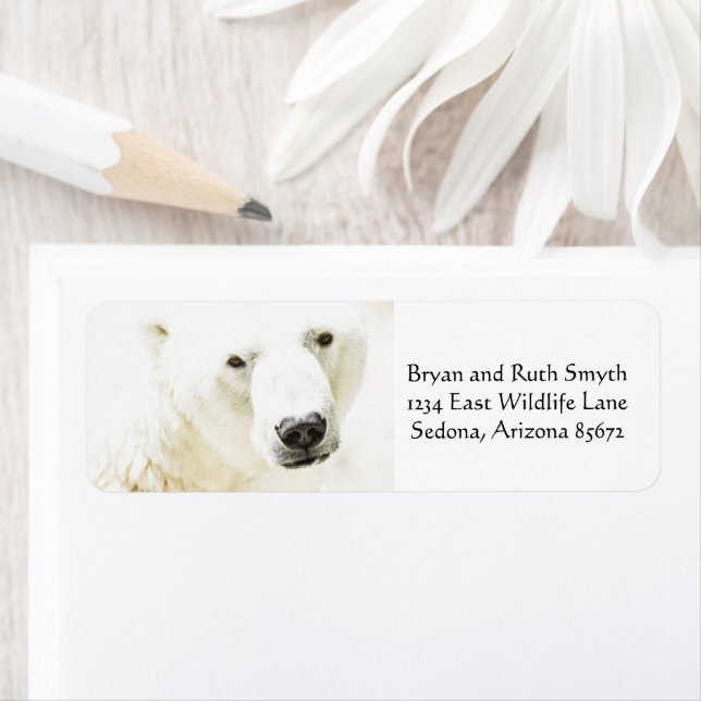 Isig Stare av ett Polar Bear Returadress Etikett (Insitu)