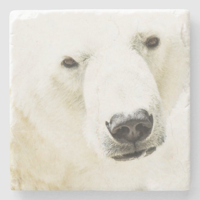 Isig Stare av ett Polar Bear Stenunderlägg (Framsidan)