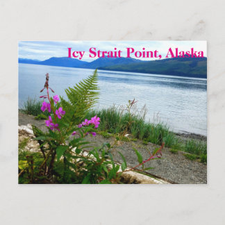 Isig Strait Point, Alaska Postcard Vykort
