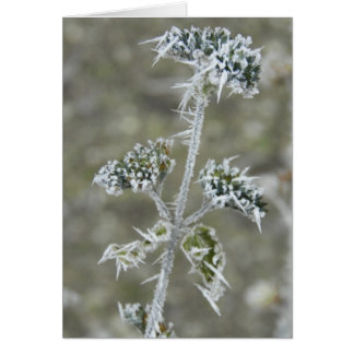 Isigens Pod Hälsningskort