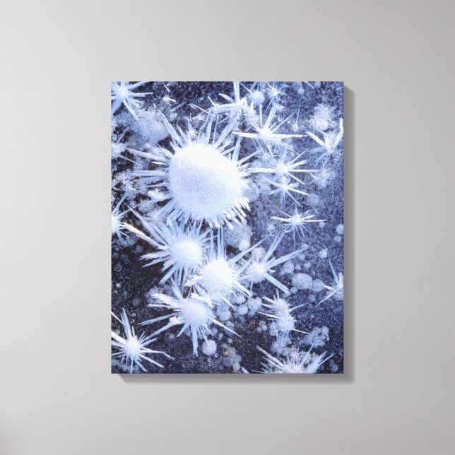 Iskristaller i Sierran Canvastryck (Framsida)