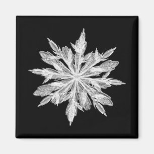 Iskristallsnowflake Magnet