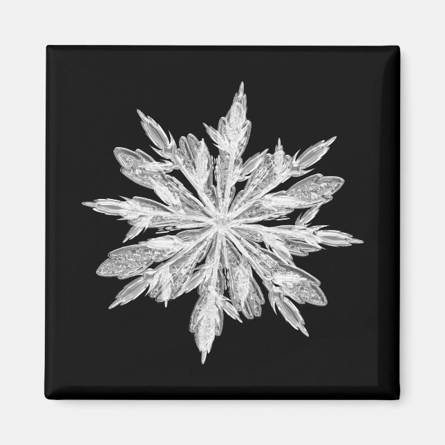 Iskristallsnowflake Magnet (Framsidan)