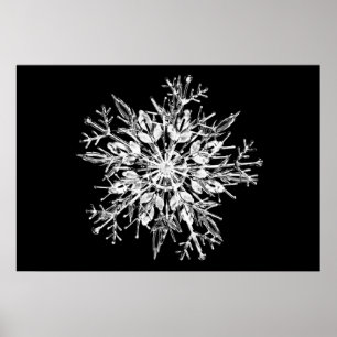 Iskristallsnowflake Poster