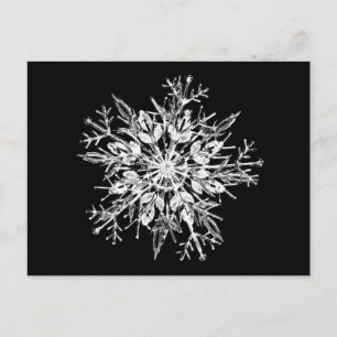 Iskristallsnowflake Vykort