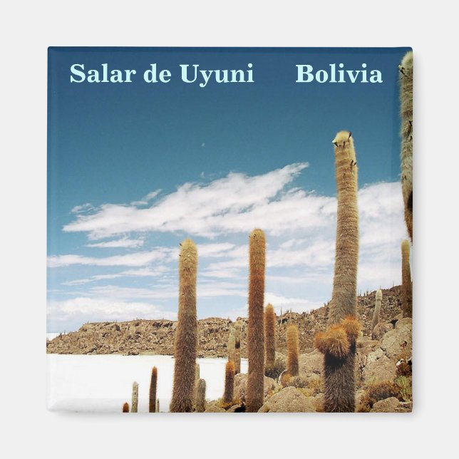 Isla del Pescado, Salar de Uyuni, Bolivia Magnet (Framsidan)