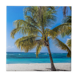 Isla Saona Beach Domenican Republic-presenten Post Kakelplatta