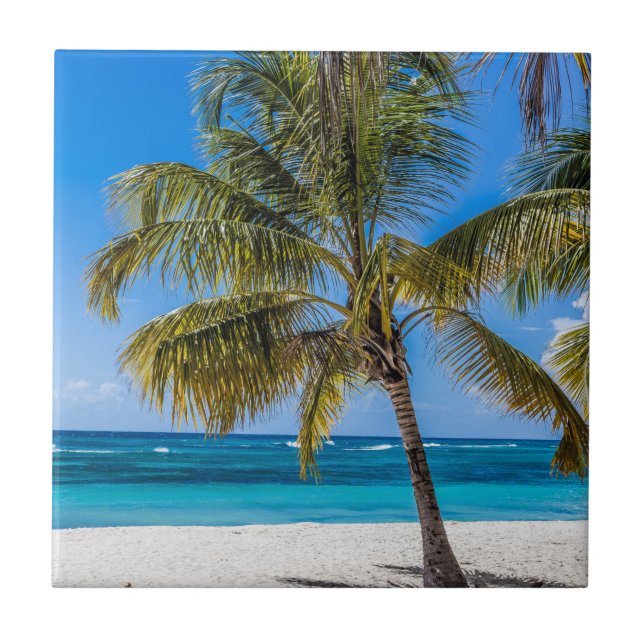Isla Saona Beach Domenican Republic-presenten Post Kakelplatta (Framsidan)