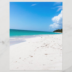 Isla Saona-stranden i Karibien Brevhuvud