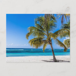 Islama Saona Beach Domenican Republic-presenten Po Helg Vykort